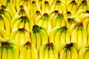 Viele Bananenstrünke Viele Bananenstrünke